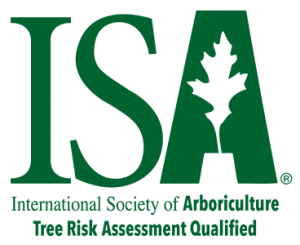 logo-isa